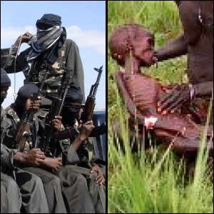 ter-vs-sp.jpg ter-vs-sp.jpg
